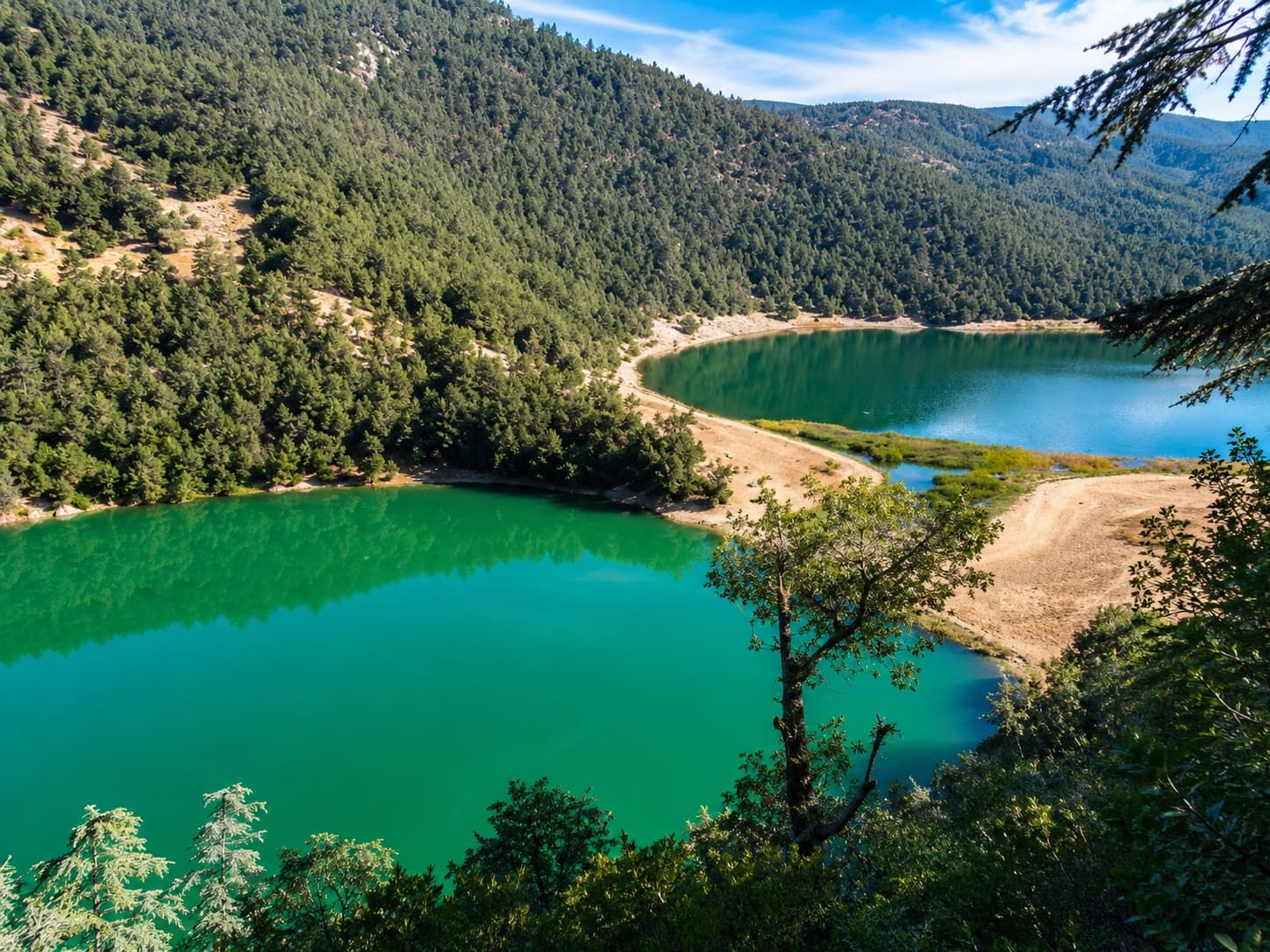 Atlas tours from Khenifra: lakes, cedar forest, and springs